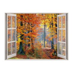 Fen&ecirc;tre avec vue sur la for&ecirc;t en automne
