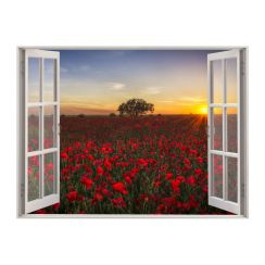 Fen&ecirc;tre avec vue sur un champ de coquelicots