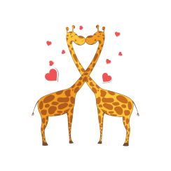 Girafes amoureuses