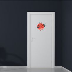 Coccinelle