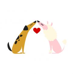Chiens amoureux