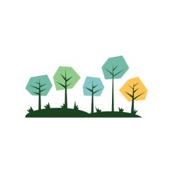 Arbres cubiques