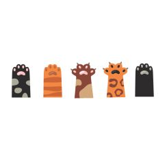 Pattes de chats 