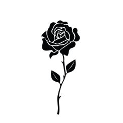 Rose romantique